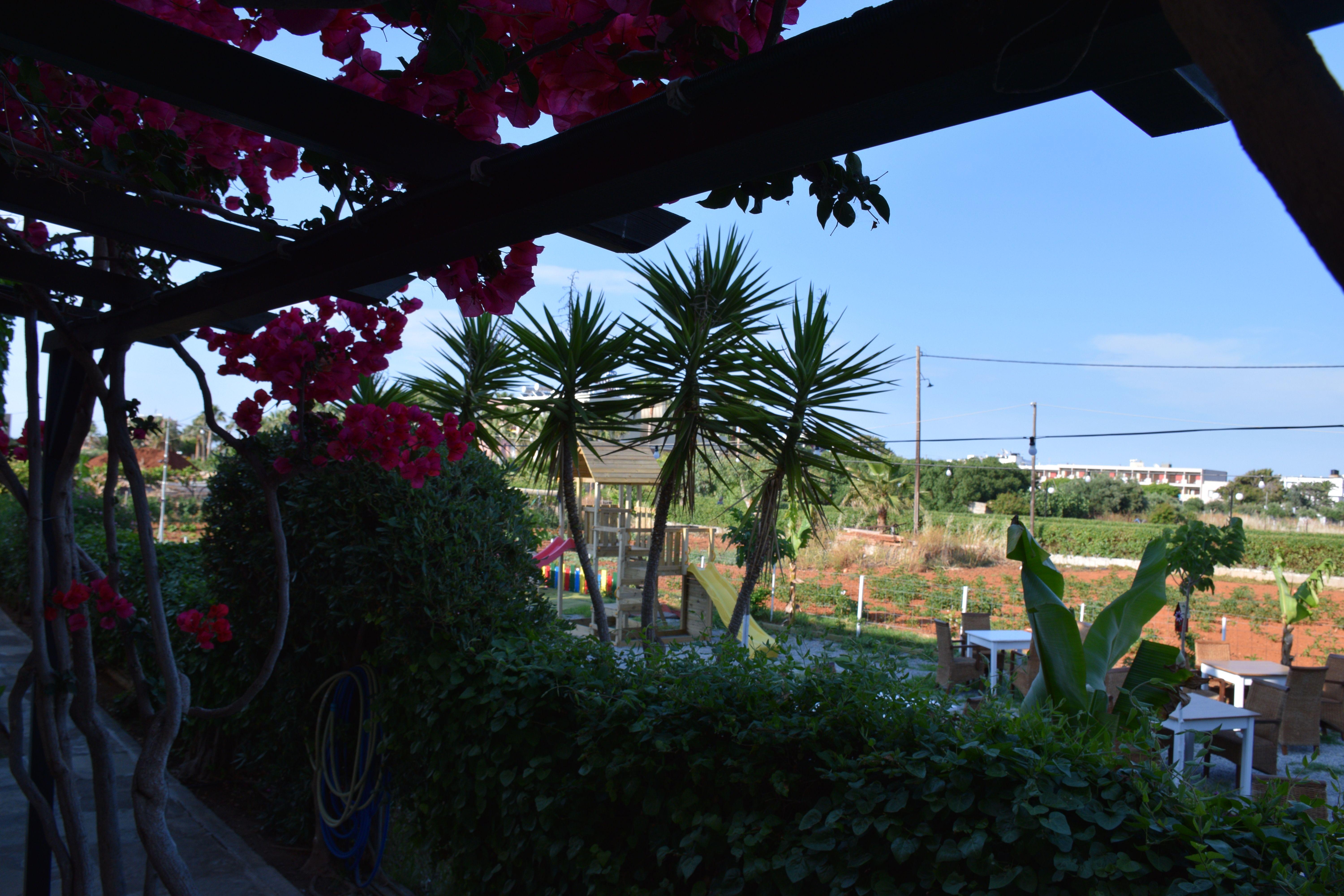 Mila Malia Studios Hotel Exterior photo