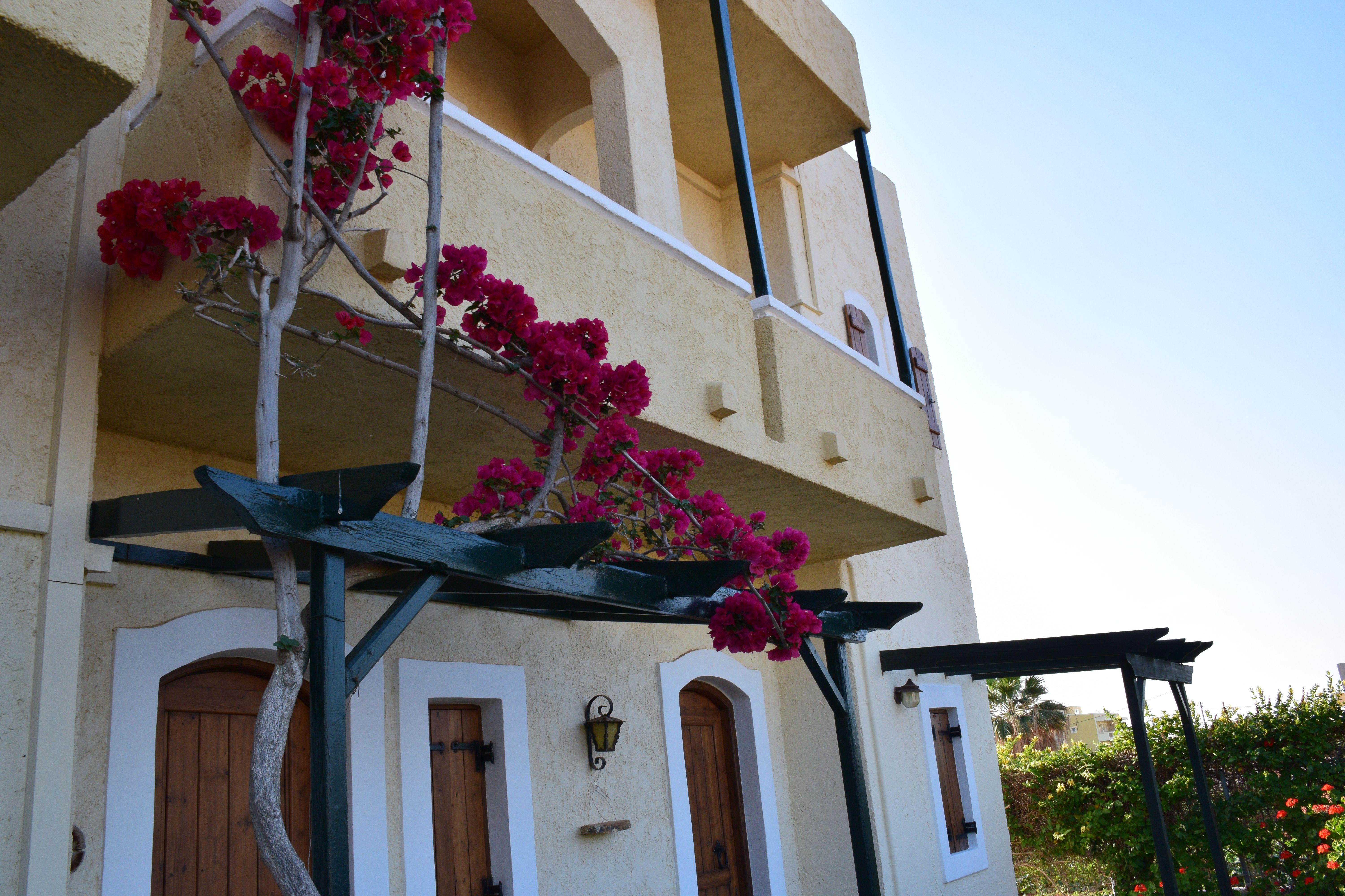 Mila Malia Studios Hotel Exterior photo